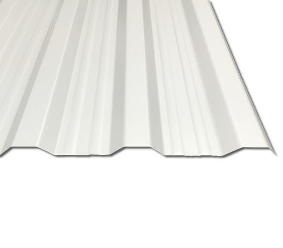 Preview: Im Winter vermutlich schlecht zu erkennen: das T-18DR Trapezblech in der Farbe Reinweiß